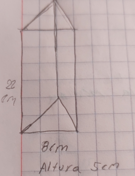 8cm
Altord Scm