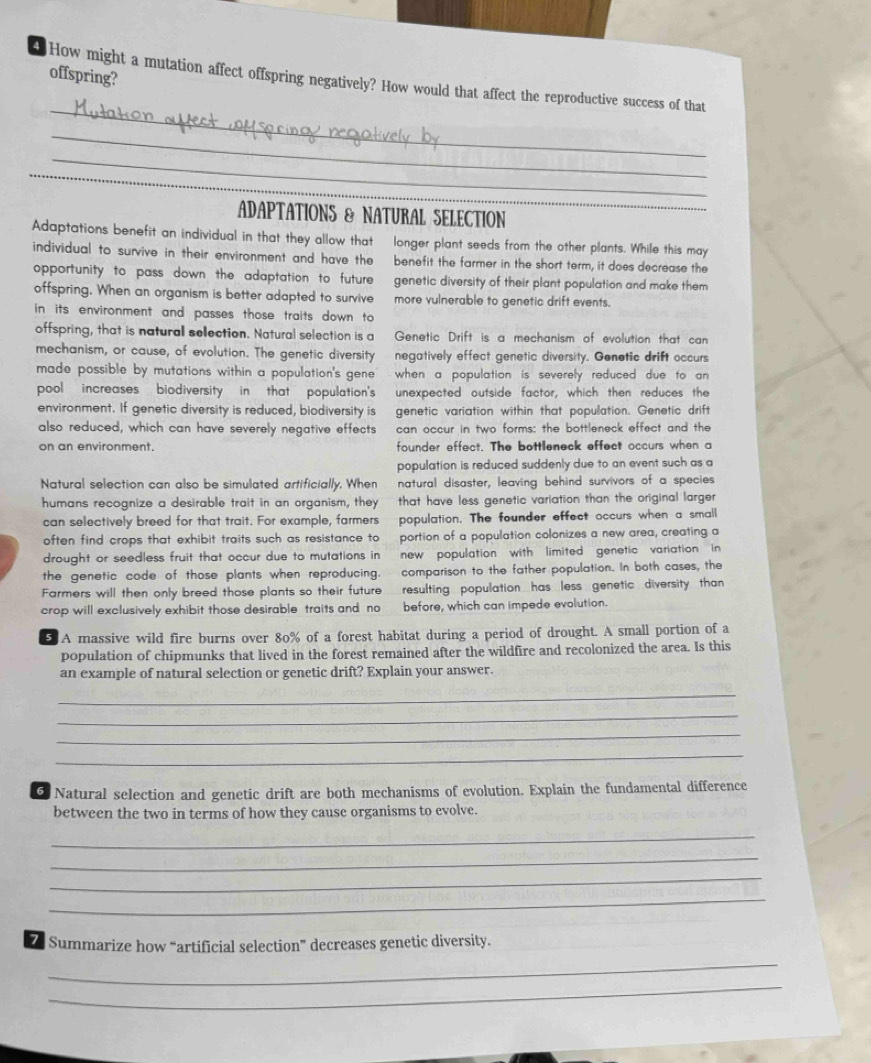 offspring?
_
4 How might a mutation affect offspring negatively? How would that affect the reproductive success of that
_
_
_
_
ADAPTATIONS & NATURAL SELECTION_
Adaptations benefit an individual in that they allow that  longer plant seeds from the other plants. While this may
individual to survive in their environment and have the  benefit the farmer in the short term, it does decrease the
opportunity to pass down the adaptation to future  genetic diversity of their plant population and make them
offspring. When an organism is better adapted to survive more vulnerable to genetic drift events.
in its environment and passes those traits down to
offspring, that is natural selection. Natural selection is a  Genetic Drift is a mechanism of evolution that can
mechanism, or cause, of evolution. The genetic diversity negatively effect genetic diversity. Genotic drift occurs
made possible by mutations within a population's gene when a population is severely reduced due to an 
pool  increases biodiversity  in " that  population's unexpected outside factor, which then reduces the
environment. If genetic diversity is reduced, biodiversity is genetic variation within that population. Genetic drift
also reduced, which can have severely negative effects can occur in two forms: the bottleneck effect and the
on an environment. founder effect. The bottleneck effect occurs when a
population is reduced suddenly due to an event such as a
Natural selection can also be simulated artificially. When natural disaster, leaving behind survivors of a species
humans recognize a desirable trait in an organism, they that have less genetic variation than the original larger .
can selectively breed for that trait. For example, farmers population. The founder effect occurs when a small
often find crops that exhibit traits such as resistance to portion of a population colonizes a new area, creating a
drought or seedless fruit that occur due to mutations in new  population with limited genetic variation in 
the genetic code of those plants when reproducing. comparison to the father population. In both cases, the
Farmers will then only breed those plants so their future resulting population has less genetic diversity than 
crop will exclusively exhibit those desirable traits and no before, which can impede evolution.
5 A massive wild fire burns over 80% of a forest habitat during a period of drought. A small portion of a
population of chipmunks that lived in the forest remained after the wildfire and recolonized the area. Is this
an example of natural selection or genetic drift? Explain your answer.
_
_
_
_
6 Natural selection and genetic drift are both mechanisms of evolution. Explain the fundamental difference
between the two in terms of how they cause organisms to evolve.
_
_
_
_
_
7 Summarize how “artificial selection” decreases genetic diversity.
_