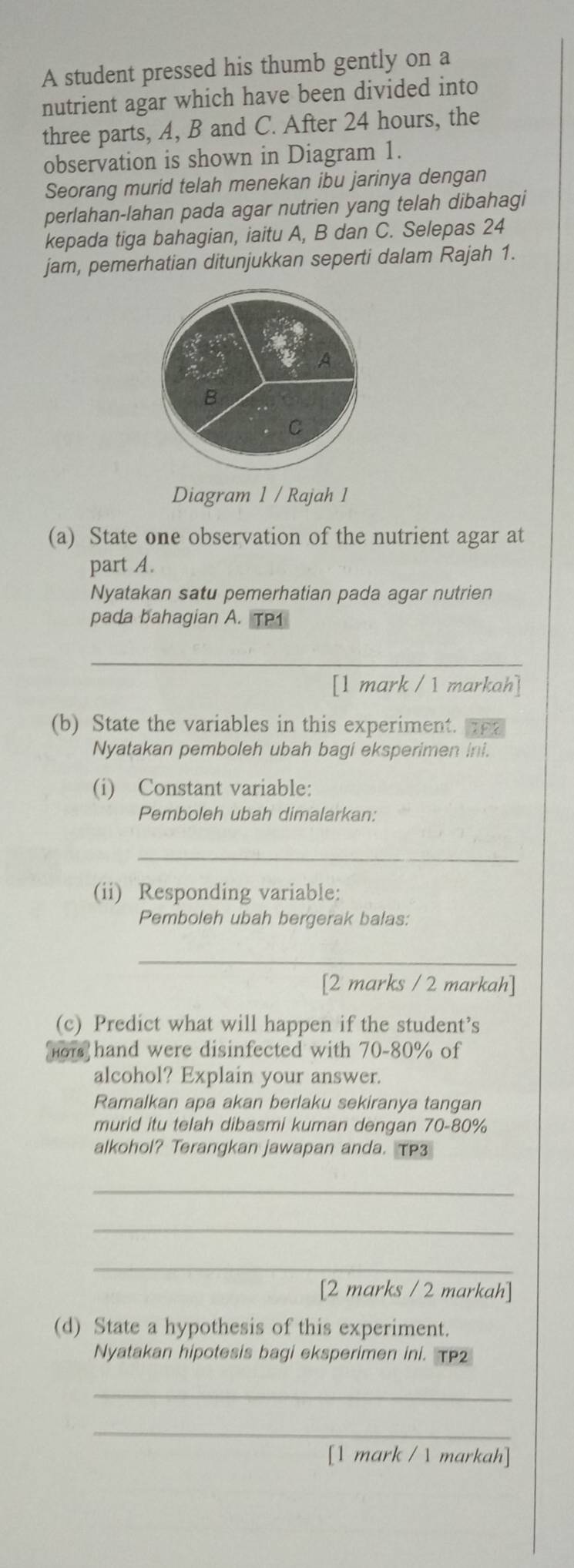 A student pressed his thumb gently on a 
nutrient agar which have been divided into 
three parts, A, B and C. After 24 hours, the 
observation is shown in Diagram 1. 
Seorang murid telah menekan ibu jarinya dengan 
perlahan-lahan pada agar nutrien yang telah dibahagi 
kepada tiga bahagian, iaitu A, B dan C. Selepas 24
jam, pemerhatian ditunjukkan seperti dalam Rajah 1. 
A 
B 
C 
Diagram 1 / Rajah 1 
(a) State one observation of the nutrient agar at 
part A. 
Nyatakan satu pemerhatian pada agar nutrien 
pada bahagian A. TP1 
_ 
[1 mark / 1 markah] 
(b) State the variables in this experiment. t 
Nyatakan pemboleh ubah bagi eksperimen ini. 
(i) Constant variable: 
Pemboleh ubah dimalarkan: 
_ 
(ii) Responding variable: 
Pemboleh ubah bergerak balas: 
_ 
[2 marks / 2 markah] 
(c) Predict what will happen if the student’s 
hor hand were disinfected with 70-80% of 
alcohol? Explain your answer. 
Ramalkan apa akan berlaku sekiranya tangan 
murid itu telah dibasmi kuman dengan 70-80%
alkohol? Terangkan jawapan anda. TP3 
_ 
_ 
_ 
[2 marks / 2 markah] 
(d) State a hypothesis of this experiment. 
Nyatakan hipotesis bagi eksperimen ini. TP2 
_ 
_ 
[1 mark / 1 markah]