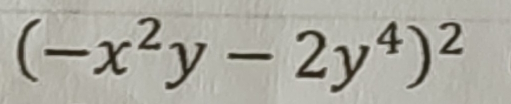 (-x^2y-2y^4)^2