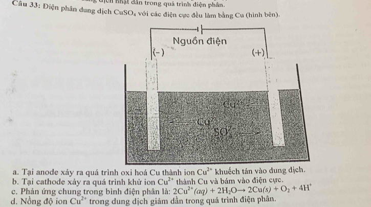 uịcn nhật dân trong quá trình điện phân. 
Câu 33: Điện phân dung dịch CuSO_4 với các điện cực đều làm bằng Cu (hình bên). 
a. Tại anode xảy ra quá trình oxi hoá Cu thành ion Cu^(2+) khuếch tán vào dung dị 
b. Tại cathode xảy ra quá trình khử ion Cu^(2+) thành Cu và bám vào điện cực. 
c. Phản ứng chung trong bình điện phân là: 2Cu^(2+)(aq)+2H_2Oto 2Cu(s)+O_2+4H^+
d. Nồng độ ion Cu^(2+) trong dung dịch giảm dần trong quá trình điện phân.