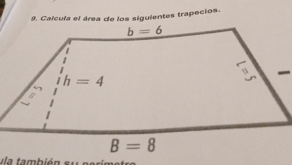 Calcula el área de los siguientes trapecios.
la también su n e