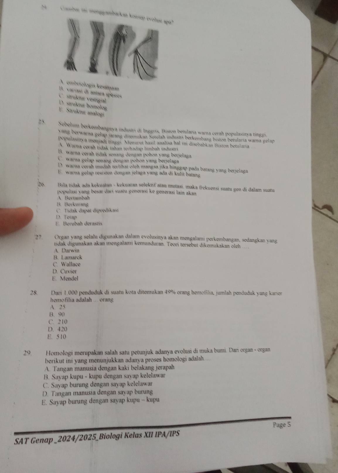 ambar mi menggambarkan konsep evolisı apa?
ologís kesámaan
B. variasí di antara spésies
C. struktur vestigial
D. struktur homólog
E. Struktur analogí
2 Sebelum berkembangnya industrí di Inggrís, Bision betularia warna cerah populasinya tingzi.
vang berwarna gelap jarang ditemukan Serelah idustrí berkembang biston betularía warna gelap
populasinya menjadi tinggi Menurut hasil analisa hal ini disebabkan Biston betularia
A. Warna cerah tidak tahan terhadap límbah industri
B. warna corah tidak senang dengan pohon yang berjelaga
C. warna gelap senang dengan pohon yang berjelaga
D warna cerah mudah terlihat oleh mangsa jika hinggap pada batang yang berjelaga
E. warna gelap resiston dengan jelaga yang ada di kulit batang
26  Pila tidak ada kekuatan - kekuatan selektif atau mutasi. maka frekuensi suatu gen di dalam suatu
populasí yang besar darí suatu generasí ke generasí lain akan
A Bertambah
B. Berkurang
C. Tidak dapat dipredikasi
D. Tetap
E. Berubah derastis
27. Organ yang sølalu digunakan dalam evolusinya akan mengalamí perkembangan, sedangkan yang
tidak digunakan akan mengalami kemunduran. Teorí tersebut dikemukakan oleh
A. Darwin
B. Lamarck
C. Wallace
D. Cavier
E. Mendel
28. Dari 1.000 penduduk di suatu kota ditemukan 49% orang hemofilia, jumlah penduduk yang karier
hemofilía adalah ... orang
A. 25
B. 90
C. 210
D. 420
E. 510
29. Homologi merupakan salah satu petunjuk adanya evolusi di muka bumi. Dari organ - organ
berikut ini yang menunjukkan adanya proses homologi adalah.
A. Tangan manusia dengan kaki belakang jerapah
B. Sayap kupu - kupu dengan sayap kelelawar
C. Sayap burung dengan sayap kelelawar
D. Tangan manusia dengan sayap burung
E. Sayap burung dengan sayap kupu - kupu
Page 5
SAT Genap _2024/2025_Biologi Kelas XII IPA/IPS