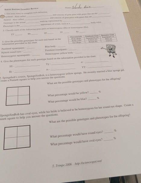 Bikini Bottom Genetics Review Name 
_ 
2. Use your notes so commnste each definition. and consists of geae pars with genes that are the_ 
uebr e d - Also ca le d 
_ 
Hybrid - Also called _ and consists of gene pairs with gemes that ar 
_ 
Genotype is the acrual makeup represented by _ 
Phenotype is she __appearance of a trait, soch as a _body coler. 
2. Classify each of the following gene pairs as heterozygous (He) or Womozygoes (Ho). 
F 
T1_ 
Bb_ 
dd_ 
3. Give the possible genosypes for each trais based on the 
information provided in the chan. 
_ 
Purebred squarepant _Blue body -_ 
Hybrid round eyes - _Purebred roundpants 
Heterozygous squarepants -_ Homozygous yellow bedy -_ 
_ 
4. Give the phenotypes for each genotype based on the information provided in the chart. 
It .
YY=
SS 
_ 
YY。 
_ 
25- 
_ 
Rr- 
5. Spongebob's cousin, SpongeJimBob, is a heterozygous yellow sponge. He recently married a blue sponge gal 
Create a Punnett square to help you answer the questions. 
What are the possible genotypes and phenotypes for the offspring? 
What percentage would be yellow? _% 
What percentage would be blue? _ %
SpongeJimBob has oval eyes, while his bride is believed to be homozygous for her round eye shape. Create a 
nnett square to help you answer the questions. 
What are the possible genotypes and phenotypes for the offspring? 
What percentage would have round eyes? _ %
What percentage would have oval eyes? _ %
T. Trimpe 2006 http://sciencespot.net/