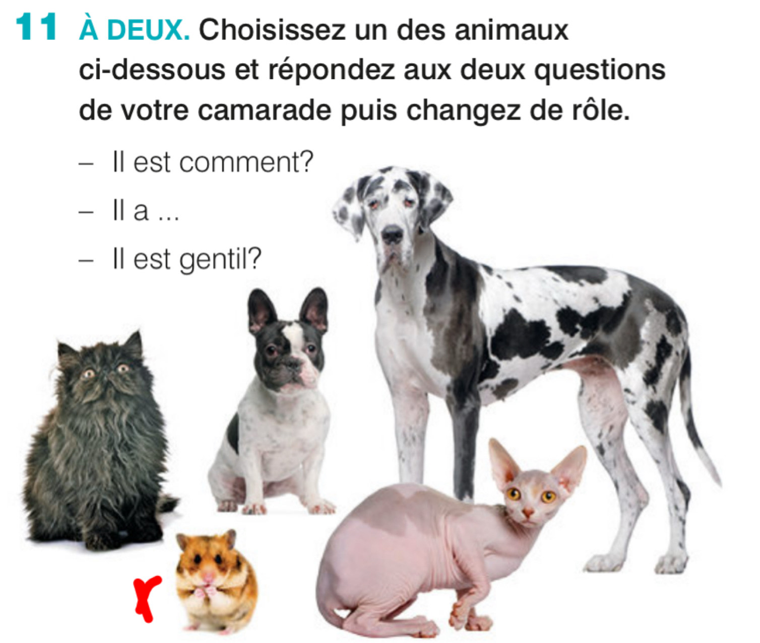 11 À DEUX. Choisissez un des animaux 
ci-dessous et répondez aux deux questions 
de votre camarade puis changez de rôle.