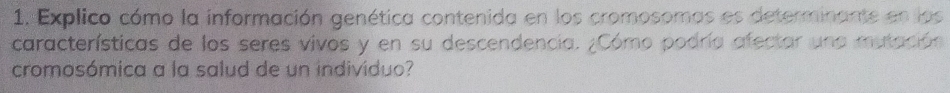 Explico cómo la información genética contenida en los cromosomas es determinante en los 
características de los seres vivos y en su descendencia. ¿Cómo podría afectar una mutación 
cromosómica a la salud de un indivíduo?