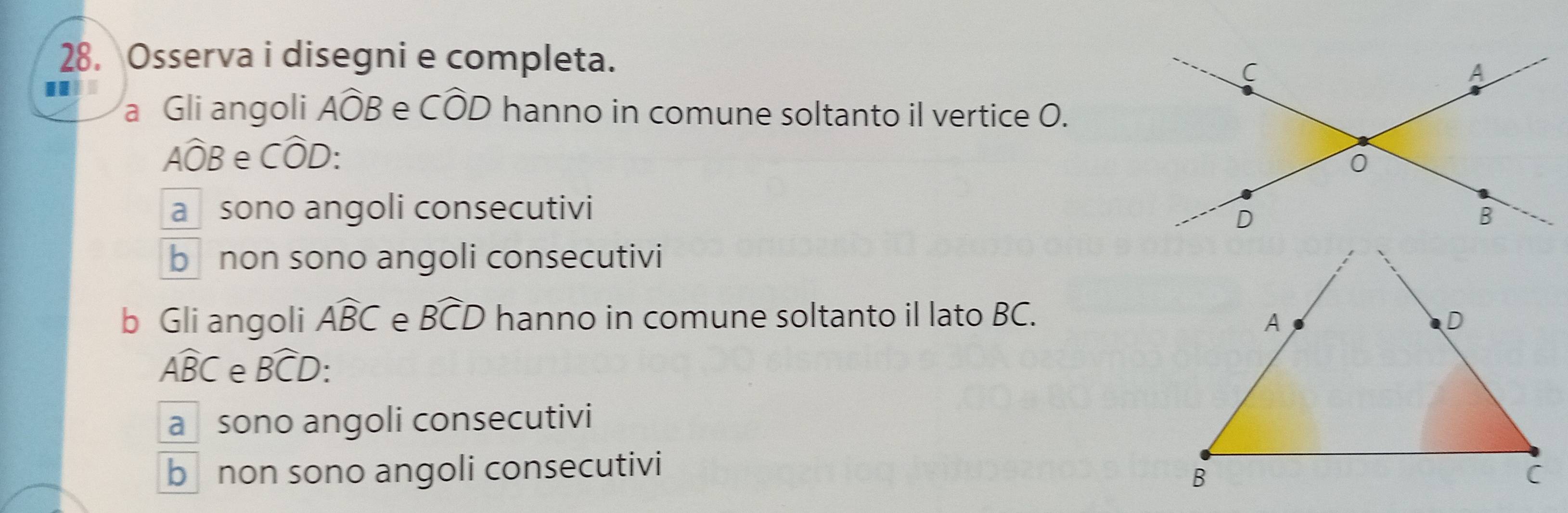 Osserva i disegni e completa.
.
a Gli angoli Awidehat OB e Cwidehat OD hanno in comune soltanto il vertice O.
Awidehat OB e Cwidehat OD :
a sono angoli consecutivi
b non sono angoli consecutivi
b Gli angoli Awidehat BC e widehat BCD hanno in comune soltanto il lato BC.
Awidehat BC e widehat BCD
a sono angoli consecutivi
b non sono angoli consecutivi