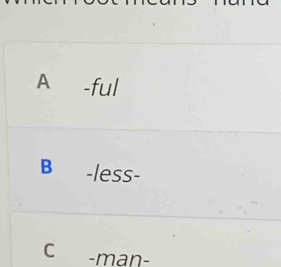 A -ful
B -less-
C -man-