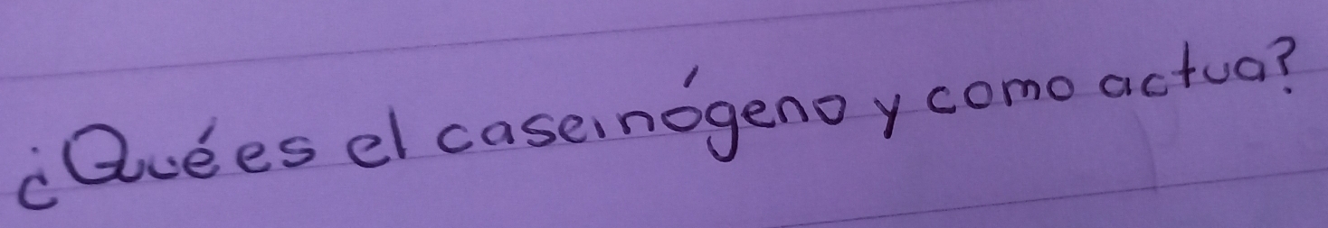 clluees el caseinogenoy como actua?