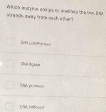 WHich enzyme unzips or unwinds the two DNA
strands away from each other?
DNA polymerase
DNA ligase
RNA primase
DNA helicase