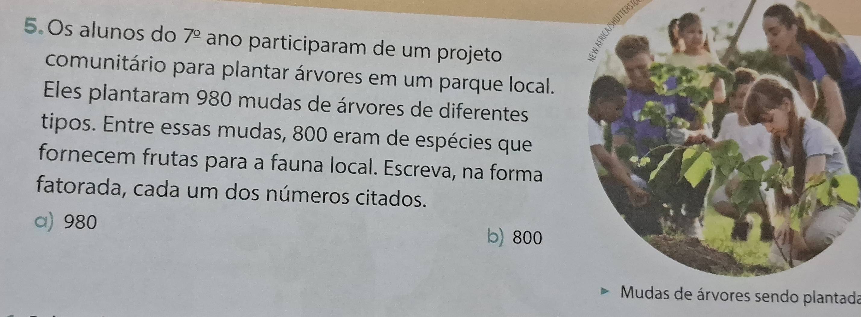 TTERS
5.Os alunos do 7^(_ circ) ano participaram de um projeto
comunitário para plantar árvores em um parque local.
Eles plantaram 980 mudas de árvores de diferentes
tipos. Entre essas mudas, 800 eram de espécies que
fornecem frutas para a fauna local. Escreva, na forma
fatorada, cada um dos números citados.
a) 980
b) 800
Mudas de árvores sendo plantada