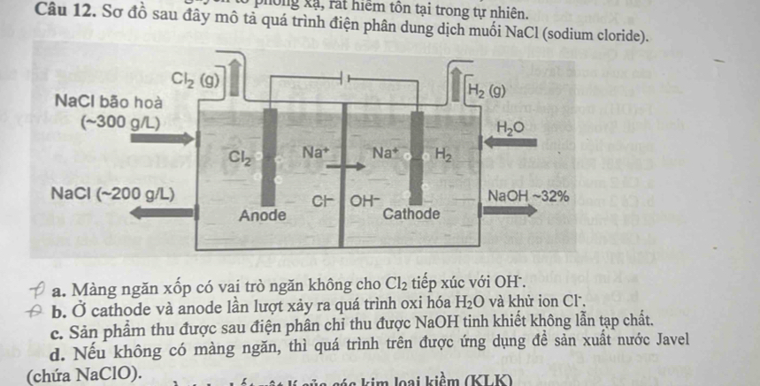 phống xạ, rất hiểm tôn tại trong tự nhiên.
Câu 12. Sơ đồ sau đây mô tả quá trình điện phân dung dịch muối NaCl (sodium cloride).
a. Màng ngăn xốp có vai trò ngăn không cho Cl_2 tiếp xúc với OH .
b. Ở cathode và anode lần lượt xảy ra quá trình oxi hóa H_2O và khử ion Cl.
c. Sản phẩm thu được sau điện phân chỉ thu được NaOH tinh khiết không lẫn tạp chất.
d. Nếu không có màng ngăn, thì quá trình trên được ứng dụng đề sản xuất nước Javel
(chứa NaClO).
á s  kim loại kiềm (KLK)