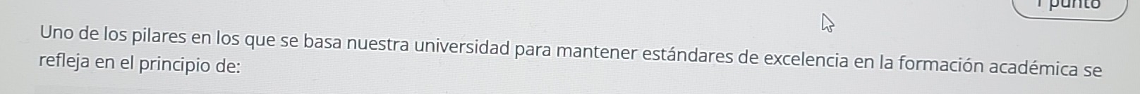 punto 
Uno de los pilares en los que se basa nuestra universidad para mantener estándares de excelencia en la formación académica se 
refleja en el principio de: