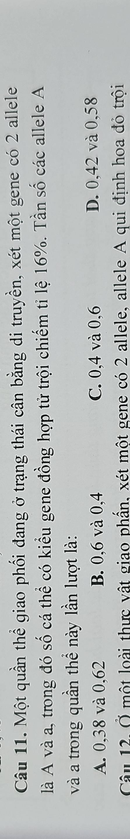 Một quần thể giao phối đang ở trạng thái cân bằng di truyền, xét một gene có 2 allele
là A và a, trong đó số cá thể có kiểu gene đồng hợp tử trội chiếm tỉ lệ 16%. Tần số các allele A
và a trong quần thể này lần lượt là:
A. 0,38 và 0,62 B. 0,6 và 0,4 C. 0, 4 và 0, 6 D. 0,42 và 0,58
Câu 12. Ở một loài thực vật giao phần, xét một gene có 2 allele, allele A qui định hoa đỏ trội