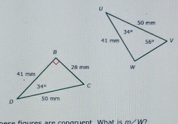 figures are congruent What is m/W?