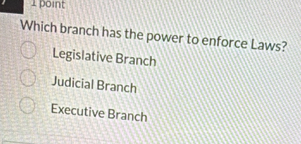 Which branch has the power to enforce Laws?
Legislative Branch
Judicial Branch
Executive Branch