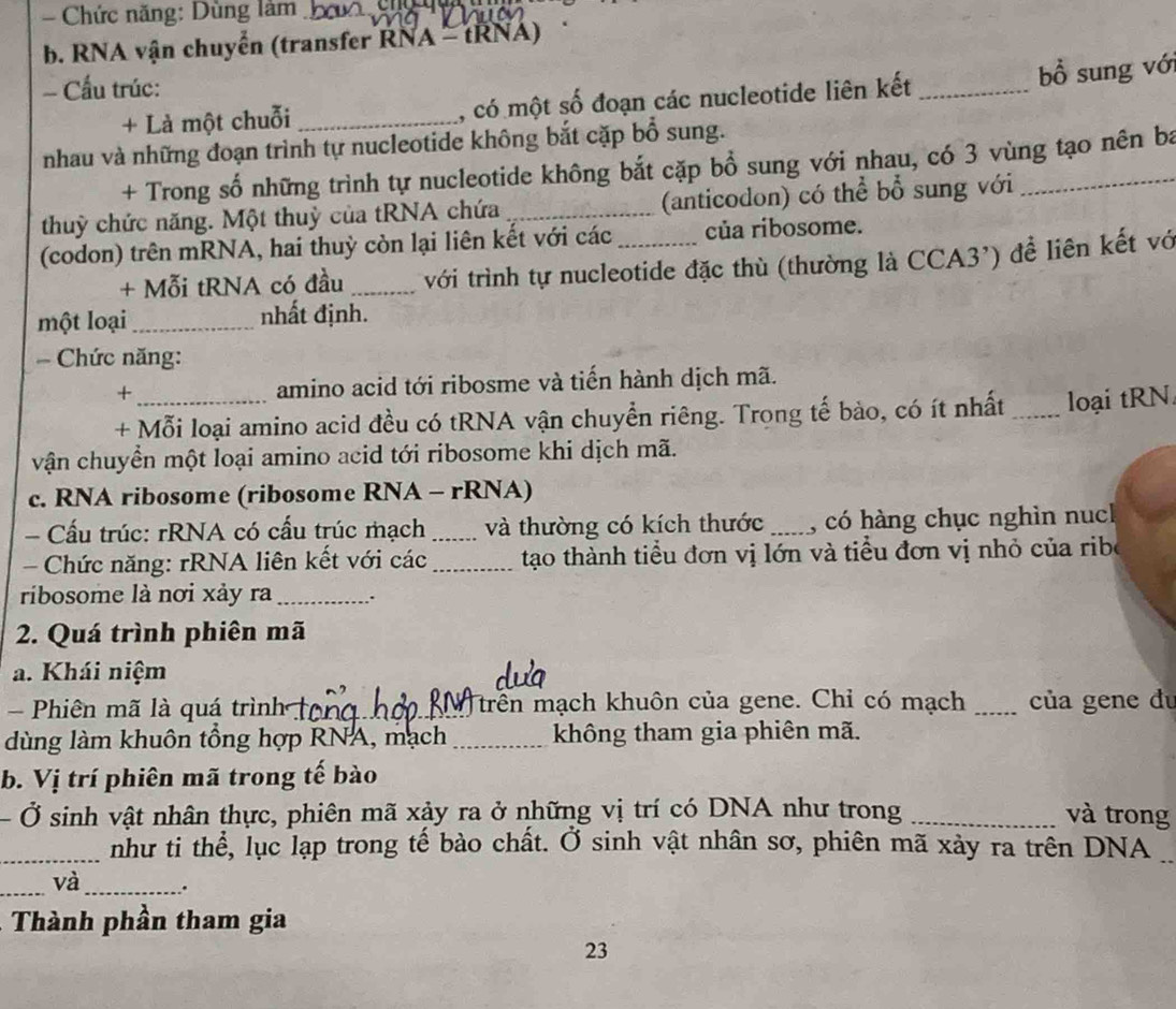 Chức năng: Dùng làm_
b. RNA vận chuyển (transfer RNA = tRNA)
- Cầu trúc:
+ Là một chuỗi _, có một số đoạn các nucleotide liên kết_
bồ sung với
nhau và những đoạn trình tự nucleotide không bắt cặp bổ sung.
+ Trong số những trình tự nucleotide không bắt cặp bổ sung với nhau, có 3 vùng tạo nên ba
thuỳ chức năng. Một thuỳ của tRNA chứa _(anticodon) có thể bổ sung với
(codon) trên mRNA, hai thuỳ còn lại liên kết với các _của ribosome.
+ Mỗi tRNA có đầu _với trình tự nucleotide đặc thù (thường là CCA3') để liên kết vớ
một loại_ nhất định.
=  Chức năng:
+ amino acid tới ribosme và tiến hành dịch mã.
+ Mỗi loại amino acid đều có tRNA vận chuyền riêng. Trọng tế bào, có ít nhất _loại tRN.
vận chuyền một loại amino acid tới ribosome khi dịch mã.
c. RNA ribosome (ribosome RNA - rRNA)
- Cấu trúc: rRNA có cấu trúc mạch _và thường có kích thước _, có hàng chục nghìn nuch
Chức năng: rRNA liên kết với các _ tạo thành tiểu đơn vị lớn và tiểu đơn vị nhỏ của ribe
ribosome là nơi xảy ra_
2. Quá trình phiên mã
a. Khái niệm
Phiên mã là quá trình  trên mạch khuôn của gene. Chỉ có mạch _của gene du
dùng làm khuôn tổng hợp RNA, mạch _không tham gia phiên mã.
b. Vị trí phiên mã trong tế bào
- Ở sinh vật nhân thực, phiên mã xảy ra ở những vị trí có DNA như trong _và trong
_như ti thể, lục lạp trong tế bào chất. Ở sinh vật nhân sơ, phiên mã xảy ra trên DNA_
_và_ .
Thành phần tham gia
23