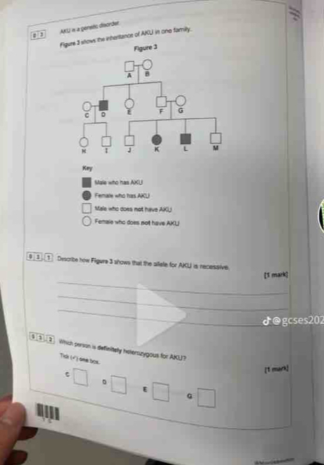 AKL is a pensés disorder
Fs the inheritance of AKU in one family.
Key
Male who has AXUJ
Female who has AKU
Male who doss not have AKI
Female who does not have AKU
3   Discribe how Figure 3 shows that the allele for AKU is recessive
_
[1 mark]
_
_
d@gcses202
③2. Which person is definitely helerszygous for AKU?
Tidi (√) one box.
[1 mark]
。
E
G