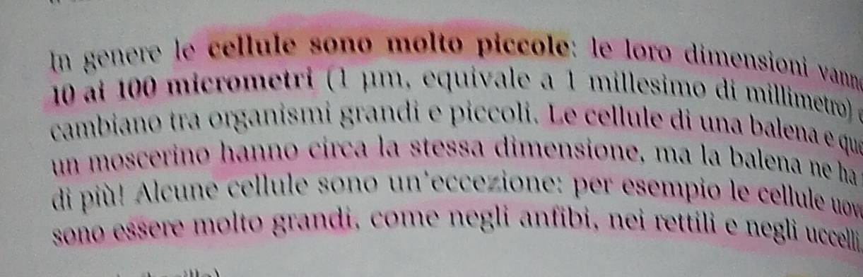 genere le cellule sono molto piccole: le loro dimensioni vann
10 ai 100 micrometri (1 μm, equivale a 1 millesimo di millimetro) 
cambiano tra organismi grandi e piccoli. Le cellule di una balena e quae 
un moscerino hanno cirça la stessa dimensione, ma la balena ne ha 
di più! Alcune cellule sono un'eccezione: per esempio le cellule wow 
sono essere molto grandi, come negli anfibi, nei rettili e negli uccelli