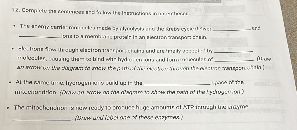 Complete the sentences and follow the instructions in parentheses. 
The energy-carrier molecules made by glycolysis and the Krebs cycle deliver _and 
_ions to a membrane protein in an electron transport chain. 
Electrons flow through electron transport chains and are finally accepted by_ 
molecules, causing them to bind with hydrogen ions and form molecules of _. (Draw 
an arrow on the diagram to show the path of the electron through the electron transport chain.) 
At the same time, hydrogen ions build up in the _space of the 
mitochondrion. (Draw an arrow on the diagram to show the path of the hydrogen ion.) 
The mitochondrion is now ready to produce huge amounts of ATP through the enzyme 
_. (Draw and label one of these enzymes.)