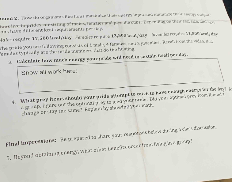 ound 2: How do organisms like lions maximize their energy input and minimize their energy output? 
ions live in prides consisting of males, females and juvenile cubs. Depending on their sex, size, and age, 
ons have different kcal requirements per day. 
Males require 17,500 kcal/day Females require 13,500 kcal/day Juveniles require 11,500 kcal/day
The pride you are following consists of 1 male, 4 females, and 3 juveniles. Recall from the video, that 
females typically are the pride members that do the hunting. 
3. Calculate how much energy your pride will need to sustain itself per day. 
Show all work here: 
4. What prey items should your pride attempt to catch to have enough energy for the day? A 
a group, figure out the optimal prey to feed your pride. Did your optimal prey from Round 1
change or stay the same? Explain by showing your math. 
Final impressions: Be prepared to share your responses below during a class discussion. 
5. Beyond obtaining energy, what other benefits occur from living in a group?