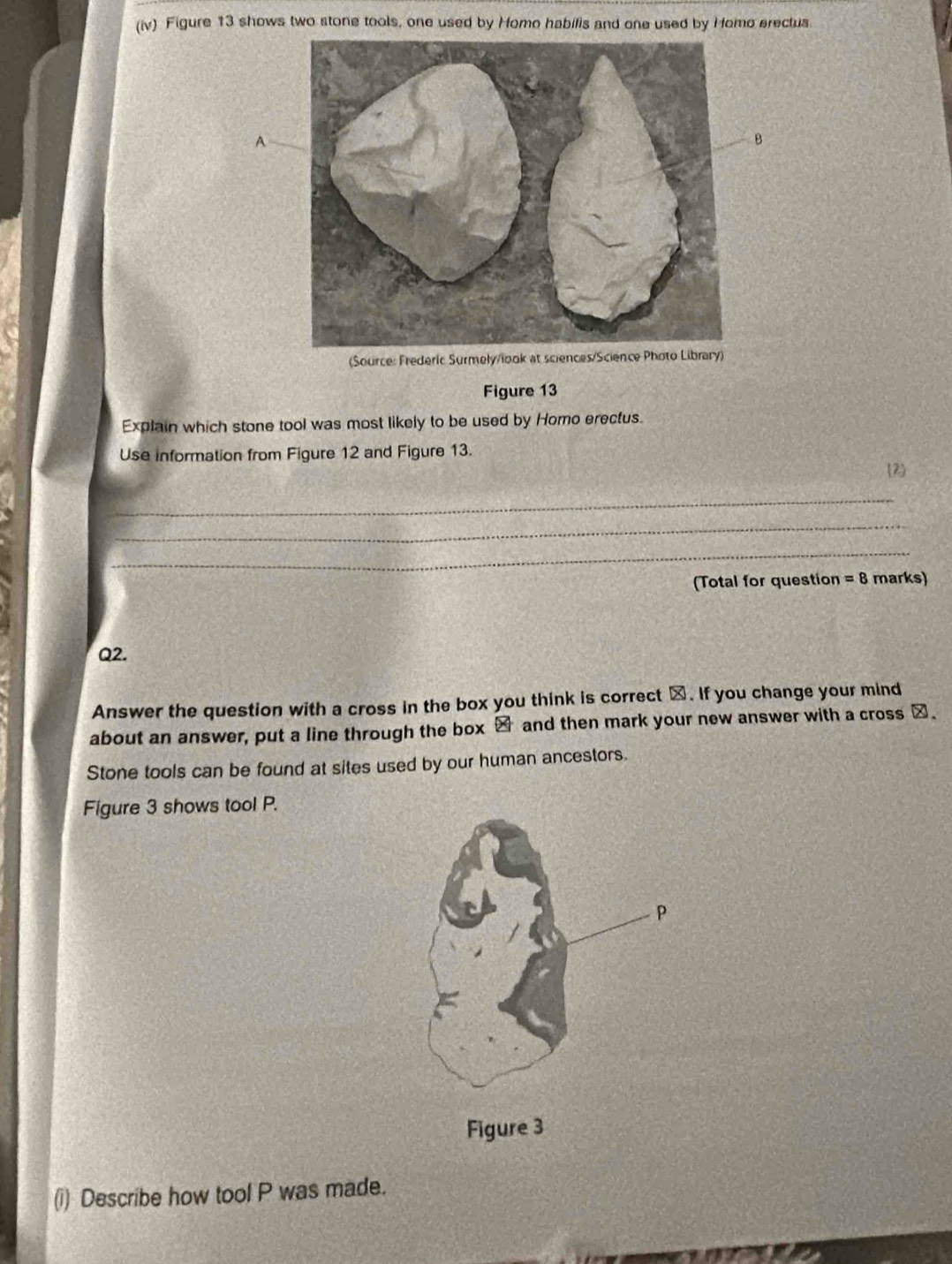 (iv) Figure 13 shows two stone tools, one used by Homo habifis and one used by Homo erectus 
A 
B 
(Source: Frederic Surmely/look at sciences/Scieny) 
Figure 13 
Explain which stone tool was most likely to be used by Homo erectus. 
Use information from Figure 12 and Figure 13. 
(2) 
_ 
_ 
_ 
(Total for question =8 marks) 
Q2. 
Answer the question with a cross in the box you think is correct α. If you change your mind 
about an answer, put a line through the box → and then mark your new answer with a cross α. 
Stone tools can be found at sites used by our human ancestors. 
Figure 3 shows tool P. 
(i) Describe how tool P was made.