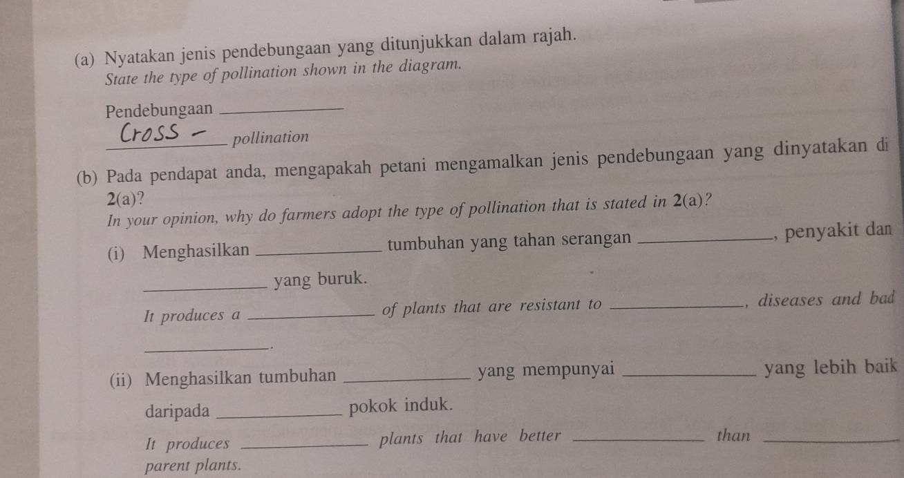 Nyatakan jenis pendebungaan yang ditunjukkan dalam rajah. 
State the type of pollination shown in the diagram. 
Pendebungaan_ 
pollination 
(b) Pada pendapat anda, mengapakah petani mengamalkan jenis pendebungaan yang dinyatakan di 
2(a) 
In your opinion, why do farmers adopt the type of pollination that is stated in 2(a)? 
(i) Menghasilkan _tumbuhan yang tahan serangan _, penyakit dan 
_yang buruk. 
It produces a _of plants that are resistant to _, diseases and bad 
_ 
. 
(ii) Menghasilkan tumbuhan _yang mempunyai _yang lebih baik 
daripada _pokok induk. 
It produces _plants that have better _than_ 
parent plants.