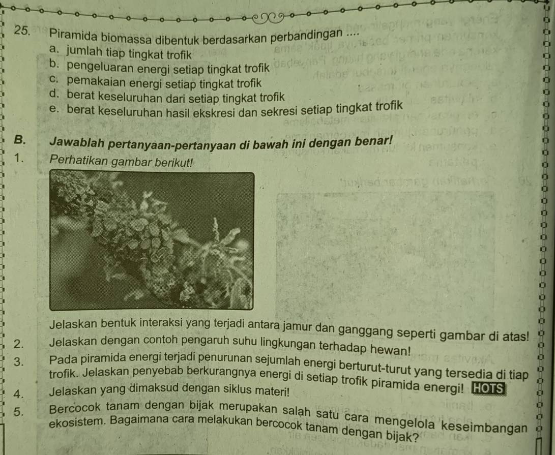 Piramida biomassa dibentuk berdasarkan perbandingan ....
a. jumlah tiap tingkat trofik
b. pengeluaran energi setiap tingkat trofik
c. pemakaian energi setiap tingkat trofik
d. berat keseluruhan dari setiap tingkat trofik
e. berat keseluruhan hasil ekskresi dan sekresi setiap tingkat trofik
B. Jawablah pertanyäan-pertanyaan di bawah ini dengan benar!
1. Perhatikan gambar berikut!
Jelaskan bentuk interaksi yang terjadi antara jamur dan ganggang seperti gambar di atas!
2. Jelaskan dengan contoh pengaruh suhu lingkungan terhadap hewan!
3. Pada piramida energi terjadi penurunan sejumlah energi berturut-turut yang tersedia di tiap
trofik. Jelaskan penyebab berkurangnya energi di setiap trofik piramida energi! HOTS
4. Jelaskan yang dimaksud dengan siklus materi!
5.
Bercocok tanam dengan bijak merupakan salah satu cara mengelola keseimbangan
ekosistem. Bagaimana cara melakukan bercocok tanam dengan bijak?