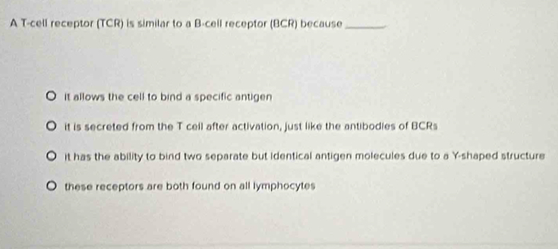 A T-cell receptor (TCR) is similar to a B -cell receptor (BCR) because_
O it allows the cell to bind a specific antigen
it is secreted from the T cell after activation, just like the antibodies of BCRs
it has the ability to bind two separate but identical antigen molecules due to a Y -shaped structure
O these receptors are both found on all lymphocytes