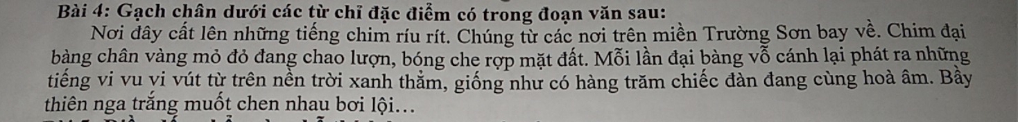 Gạch chân dưới các từ chỉ đặc điểm có trong đoạn văn sau: 
Nơi đây cất lên những tiếng chim ríu rít. Chúng từ các nơi trên miền Trường Sơn bay về. Chim đại 
bàng chân vàng mỏ đỏ đang chao lượn, bóng che rợp mặt đất. Mỗi lần đại bàng vỗ cánh lại phát ra những 
tiếng vi vu vi vút từ trên nền trời xanh thăm, giống như có hàng trăm chiếc đàn đang cùng hoà âm. Bầy 
thiên nga trắng muốt chen nhau bơi lội...