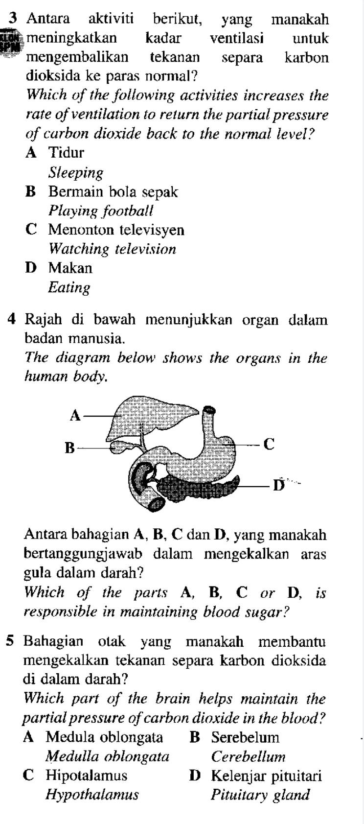 Antara aktiviti berikut, yang manakah
meningkatkan kadar ventilasi untuk
mengembalikan tekanan separa karbon
dioksida ke paras normal?
Which of the following activities increases the
rate of ventilation to return the partial pressure
of carbon dioxide back to the normal level?
A Tidur
Sleeping
B Bermain bola sepak
Playing football
C Menonton televisyen
Watching television
D Makan
Eating
4 Rajah di bawah menunjukkan organ dalam
badan manusia.
The diagram below shows the organs in the
human body.
Antara bahagian A, B, C dan D, yang manakah
bertanggungjawab dalam mengekalkan aras
gula dalam darah?
Which of the parts A, B, C or D, is
responsible in maintaining blood sugar?
5 Bahagian otak yang manakah membantu
mengekalkan tekanan separa karbon dioksida
di dalam darah?
Which part of the brain helps maintain the
partial pressure of carbon dioxide in the blood?
A Medula oblongata B Serebelum
Medulla oblongata Cerebellum
C Hipotalamus D Kelenjar pituitari
Hypothalamus Pituitary gland