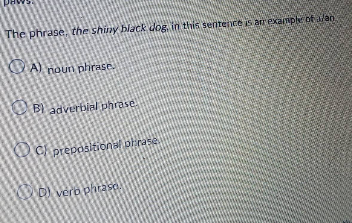 paws.
The phrase, the shiny black dog, in this sentence is an example of a/an
A) noun phrase.
B) adverbial phrase.
C) prepositional phrase.
D) verb phrase.