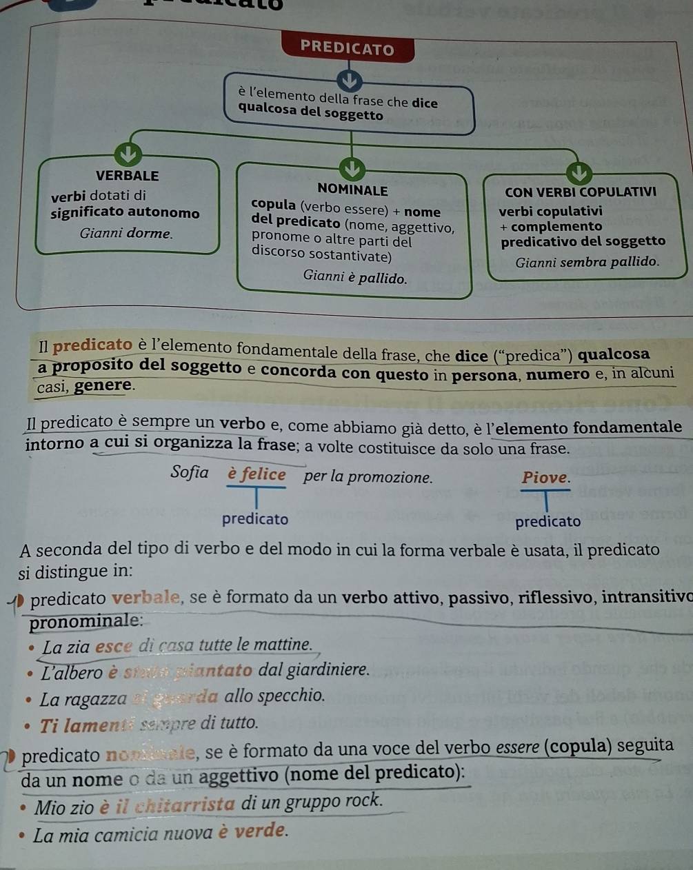 PREDICATO 
è l'elemento della frase che dice 
qualcosa del soggetto 
VERBALE NOMINALE 
verbi dotati di CON VERBI COPULATIVI 
copula (verbo essere) + nome 
significato autonomo verbi copulativi 
del predicato (nome, aggettivo, + complemento 
Gianni dorme. pronome o altre parti del 
predicativo del soggetto 
discorso sostantivate) 
Gianni sembra pallido. 
Gianni è pallido. 
Il predicato è l’elemento fondamentale della frase, che dice (“predica”) qualcosa 
a proposito del soggetto e concorda con questo in persona, numero e, in alcuni 
casi, genere. 
Il predicato è sempre un verbo e, come abbiamo già detto, è l'elemento fondamentale 
intorno a cui si organizza la frase; a volte costituisce da solo una frase. 
Sofia è felice per la promozione. Piove. 
predicato predicato 
A seconda del tipo di verbo e del modo in cui la forma verbale è usata, il predicato 
si distingue in: 
predicato verbale, se è formato da un verbo attivo, passivo, riflessivo, intransitivo 
pronominale: 
La zia esce di casa tutte le mattine. 
L'albero è stve piantato dal giardiniere. 
La ragazza si guarda allo specchio. 
Ti lamenti sempre di tutto. 
predicato nopinale, se è formato da una voce del verbo essere (copula) seguita 
da un nome o da un aggettivo (nome del predicato): 
Mio zio è il chitarrista di un gruppo rock. 
La mia camicia nuova è verde.