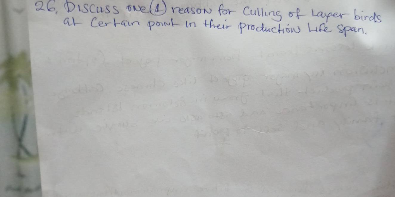 26, Discuss oNe() reason for Culling of Laper birds 
al Cerrain pownt in their produchon life span.