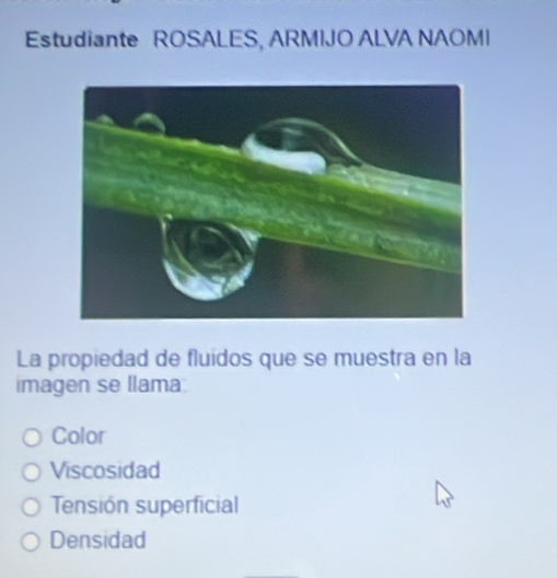 Estudiante ROSALES, ARMIJO ALVA NAOMI
La propiedad de fluidos que se muestra en la
imagen se llama
Color
Viscosidad
Tensión superficial
Densidad