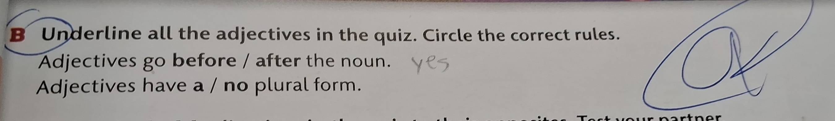 Underline all the adjectives in the quiz. Circle the correct rules. 
Adjectives go before / after the noun. 
Adjectives have a / no plural form.