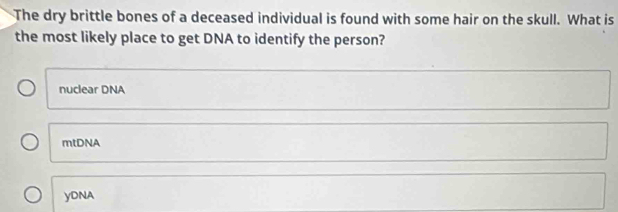 The dry brittle bones of a deceased individual is found with some hair on the skull. What is
the most likely place to get DNA to identify the person?
nuclear DNA
mtDNA
yDNA