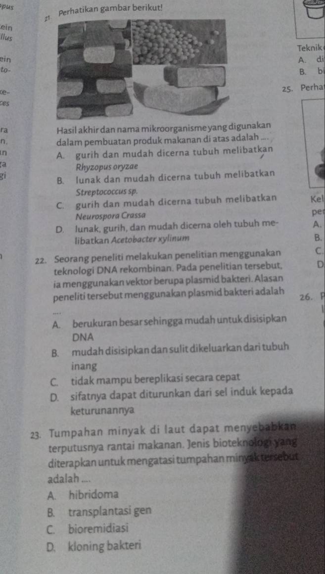 pus
Perhatikan gambar berikut!
ein
Ilus
Teknik
einA. di
to-
B. bi
(e
25. Perha
ces
ra Hasil akhir dan nama mikroorganisme yang digunakan
n. dalam pembuatan produk makanan di atas adalah
n A. gurih dan mudah dicerna tubuh melibatkan
a
Rhyzopus oryzae
g1 B. lunak dan mudah dicerna tubuh melibatkan
Streptococcus sp.
C. gurih dan mudah dicerna tubuh melibatkan Kel
Neurospora Crassa
pe
D. lunak, gurih, dan mudah dicerna oleh tubuh me- A.
libatkan Acetobacter xylinum
B.
22. Seorang peneliti melakukan penelitian menggunakan C.
teknologi DNA rekombinan. Pada penelitian tersebut, D
ia menggunakan vektor berupa plasmid bakteri. Alasan
peneliti tersebut menggunakan plasmid bakteri adalah 26. P
A. berukuran besar sehingga mudah untuk disisipkan
DNA
B. mudah disisipkan dan sulit dikeluarkan dari tubuh
inang
C. tidak mampu bereplikasi secara cepat
D. sifatnya dapat diturunkan dari sel induk kepada
keturunannya
23. Tumpahan minyak di laut dapat menyebabkan
terputusnya rantai makanan. Jenis bioteknologi yang
diterapkan untuk mengatasi tumpahan minyak tersebut 
adalah ....
A. hibridoma
B. transplantasi gen
C. bioremidiasi
D. kloning bakteri