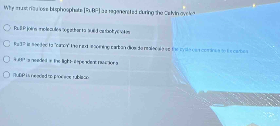 Why must ribulose bisphosphate [RuBP] be regenerated during the Calvin cycle?
RuBP joins molecules together to build carbohydrates
RuBP is needed to "catch" the next incoming carbon dioxide molecule so the cycle can continue to fix carbon
RuBP is needed in the light- dependent reactions
RuBP is needed to produce rubisco