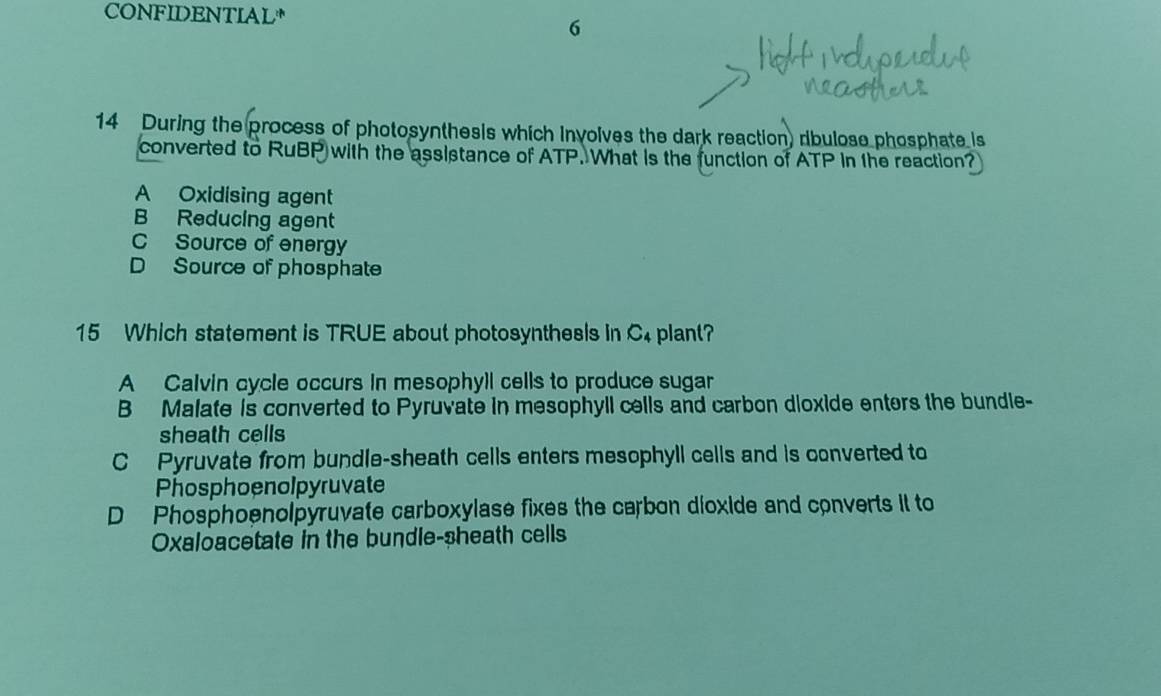 CONFIDENTIAL*
6
14 During the process of photosynthesis which Involves the dark reaction, ribulose phosphate is
converted to RuBP with the assistance of ATP. What is the function of ATP in the reaction?
A Oxidising agent
B Reducing agent
C Source of energy
D Source of phosphate
15 Which statement is TRUE about photosynthesis in C4 plant?
A Calvin cycle occurs in mesophyll cells to produce sugar
B Malate is converted to Pyruvate in mesophyll cells and carbon dioxide enters the bundle-
sheath cells
C Pyruvate from bundle-sheath cells enters mesophyll cells and is converted to
Phosphoenolpyruvate
D Phosphoenolpyruvate carboxylase fixes the carbon dioxide and converts it to
Oxaloacetate in the bundle-sheath cells