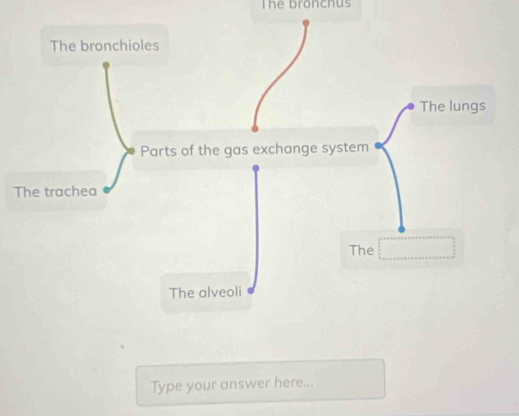 The bronchus
T
Type your answer here...