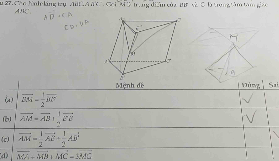 Cho hình lăng trụ ABC.. A'B'C' Gọi M là trung điểm của BB' và G là trọng tâm tam giác
ABC.
Mệnh đề Đúng Sai
(a) vector BM= 1/2 vector BB'
(b) vector AM=vector AB+ 1/2 vector B'B
(c) vector AM= 1/2 vector AB+ 1/2 vector AB'
(d) vector MA+vector MB+vector MC=3vector MG