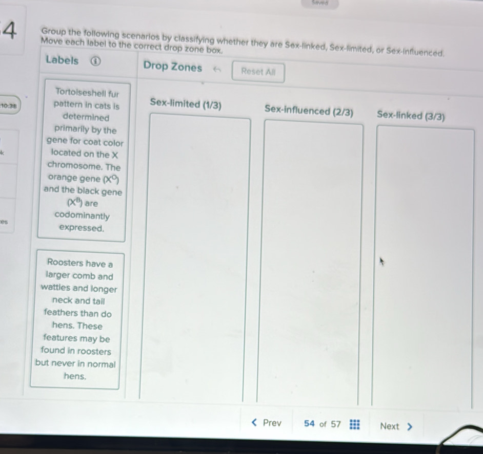 Saved 
4 Move each label to the correct drop zone box. 
Group the following scenarios by classifying whether they are Sex-linked, Sex-limited, or Sex-influenced. 
Labels Drop Zones Reset All 
Tortoiseshell fur
10:38 pattern in cats is Sex-limited (1/3) Sex-influenced (2/3) Sex-linked (3/3)
determined 
primarily by the 
gene for coat color 
k located on the X
chromosome. The 
orange gene (x°)
and the black gene
(X^B) are 
codominantly 
es expressed. 
Roosters have a 
larger comb and 
wattles and longer 
neck and tail 
feathers than do 
hens. These 
features may be 
found in roosters 
but never in normal 
hens. 
Prev 54 of 57 Next