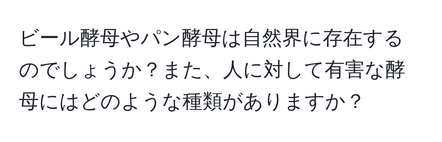 ビール酵母やパン酵母は自然界に存在するのでしょうか？また、人に対して有害な酵母にはどのような種類がありますか？