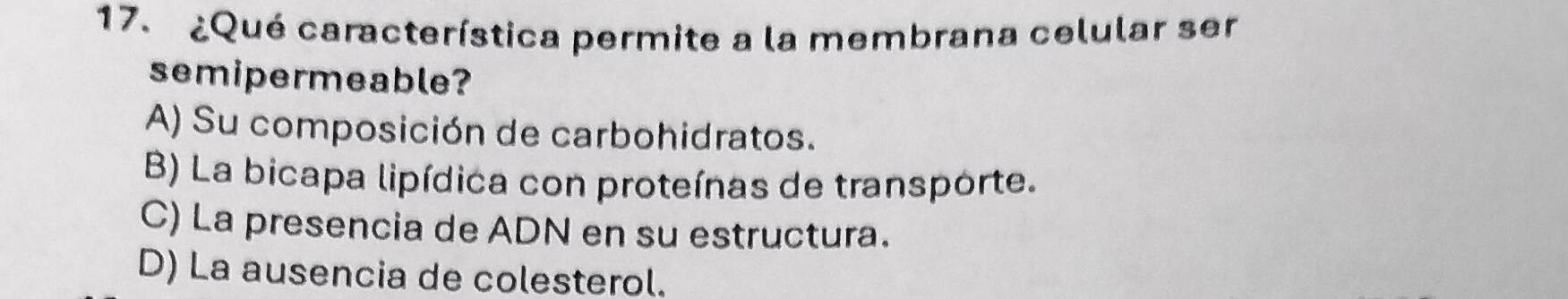 ¿Qué característica permite a la membrana celular ser
semipermeable?
A) Su composición de carbohidratos.
B) La bicapa lipídica con proteínas de transporte.
C) La presencia de ADN en su estructura.
D) La ausencia de colesterol.