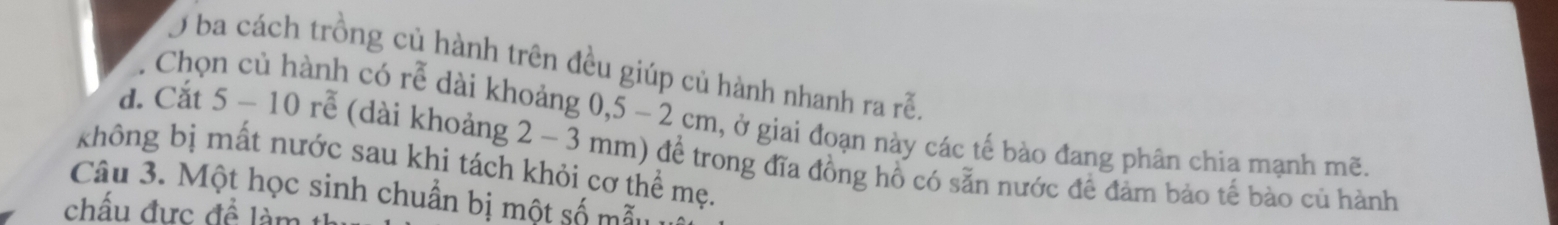 Ở ba cách trồng củ hành trên đều giúp củ hành nhanh ra rễ
Chọn củ hành có rễ dài khoảng 0,5 - 2 cm, ở giai đoạn này các tế bào đang phân chia mạnh mẽ
d. Cắt 5 - 10 rễ (dài khoảng 2 - 3 mm) để trong đĩa đồng hồ có sẵn nước để đảm bảo tế bào củ hành
không bị mất nước sau khi tách khỏi cơ thể mẹ.
Câu 3. Một học sinh chuẩn bị một số mẫu 
chấu đực đề làm th