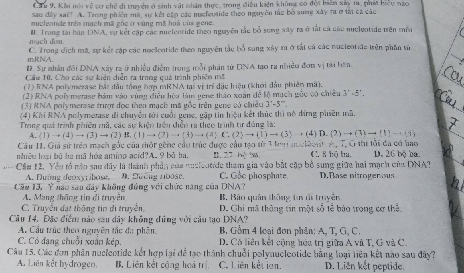 Cầu 9. Khi nói về cơ chế di truyền ở sinh vật nhân thực, trong điều kiện không có đột biển xây ra, phát biểu nào
sau đây sai? A. Trong phiên mã, sự kết cặp các nucleotide theo nguyên tắc bồ sung xảy ra ở tất cả các
nucleotide trên mạch mã gốc ở vùng mã hoá của gene.
B. Trong tái bản DNA, sự kết cặp các nucleotide theo nguyên tắc bổ sung xãy ra ở tất cả các nucleotide trên mỗi
mạch đơn.
C. Trong dịch mã, sự kết cặp các nucleotide theo nguyên tắc bổ sung xảy ra ở tất cả các nucleotide trên phân tử
mRNA.
D. Sự nhân đôi DNA xảy ra ở nhiều điểm trong mỗi phân tử DNA tạo ra nhiều đơn vị tái bản.
Câu 10. Cho các sự kiện diễn ra trong quá trình phiên mã.
(1) RNA polymerase bắt dầu tổng hợp mRNA tại vị trí dặc hiệu (khởi đầu phiên mã).
(2) RNA polymerase bám vào vùng điều hỏa làm gene tháo xoắn để lộ mạch gốc có chiều 3^(^,)-5^(^,).
(3) RNA polymerase trượt dọc theo mạch mã gốc trên gene có chiều 3'-5''.
(4) Khi RNA polymerase di chuyển tới cuối gene, gặp tín hiệu kết thúc thì nó dừng phiên mã.
Trong quá trình phiên mã, các sự kiện trên diễn ra theo trình tự đúng là:
A. (1) → (4)to (3)to (2) B. (1)to (2)to (3)to (4).C.(2)to (1)to ( 3) (4)Ⅰ. (2)to (3)to (1)to (4)
Câu 11. Giả sử trên mạch gốc của một géne cầu trúc được cầu tạo từ 3 loại nuciêôtit: A, T, G thi tối đa có bao
nhiêu loại bộ ba mã hóa amino acid?A. 9 bộ ba. B. 27m(x C. 8 bộ ba. D. 26 bộ ba.
Câu 12. Yếu tố nào sau đây là thành phần của nucleotide tham gia vào bắt cặp bổ sung giữa hai mạch của DNA?
A. Đường deoxyribose. B. Đướng ribose. C. Gốc phosphate. D.Base nitrogenous.
Câu 13. Ý nào sau đây không đúng với chức năng của DNA?
A. Mang thông tin di truyền. B. Bảo quản thông tin di truyền.
C. Truyền đạt thông tin di truyền. D. Ghi mã thông tin một số tế bào trong cơ thể.
Câu 14. Đặc điểm nào sau đây không đúng với cầu tạo DNA?
A. Cầu trúc theo nguyên tắc đa phân. B. Gồm 4 loại đơn phân: A, T, G, C.
C. Có dạng chuỗi xoắn kép. D. Có liên kết cộng hóa trị giữa A và T, G và C.
Câu 15. Các đơn phân nucleotide kết hợp lại để tạo thành chuỗi polynucleotide bằng loại liên kết nào sau đây?
A. Liên kết hydrogen. B. Liên kết cộng hoá trị. C. Liên kết ion. D. Liên kết peptide.