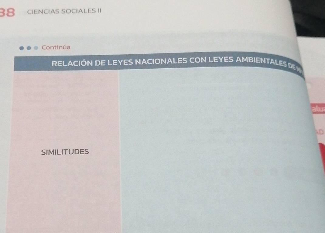 CIENCIAS SOCIALES II 
Continúa 
RELACIÓN DE LEYES NACIONALES CON LEYES AMBIENTALES D 
alu 
AD 
SIMILITUDES