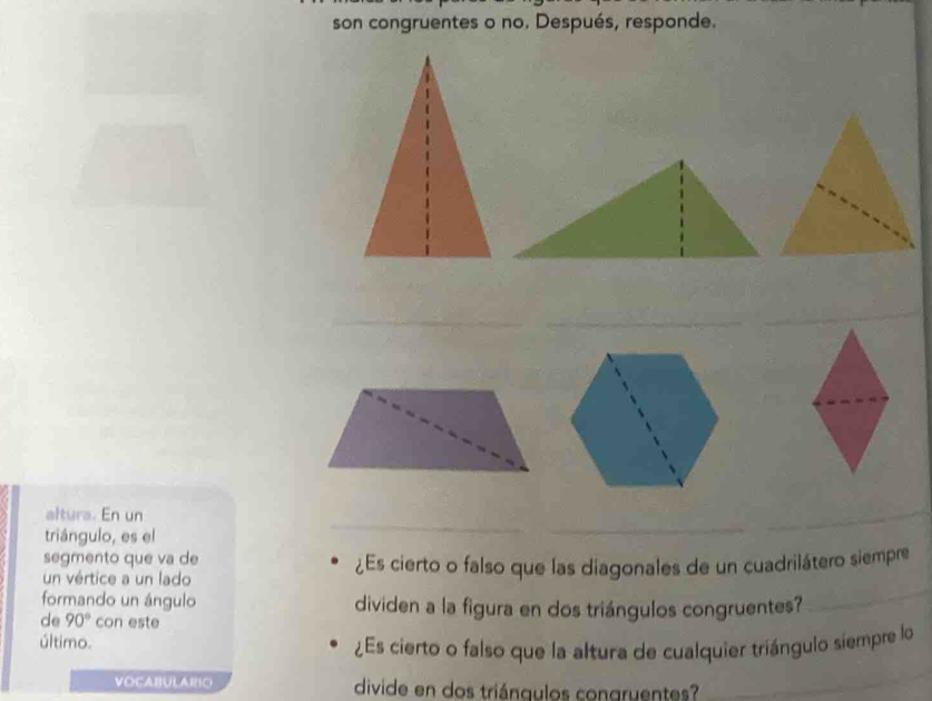 son congruentes o no. Después, responde. 
altura. En un 
triángulo, es el 
segmento que va de 
un vértice a un lado ¿Es cierto o falso que las diagonales de un cuadrilátero siempre 
formando un ángulo dividen a la figura en dos triángulos congruentes? 
de 90° con este 
último. 
¿Es cierto o falso que la altura de cualquier triángulo siempre lo 
VOCABULARIO divide en dos triángulos congruentes?