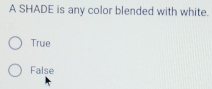 A SHADE is any color blended with white.
True
False